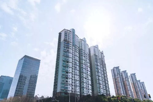 太突然 房地产税今年12月或将出炉 喀什没买房的人恭喜了
