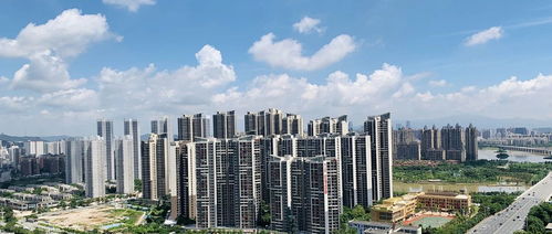 惠州房价内参