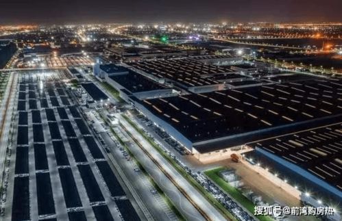 解析,房价 定调 之下的趋势,杭州湾新区房价为何稳定攀升