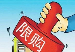 房价最新消息 2019年后房价大跌已成定局 政策在那儿越等越买不起